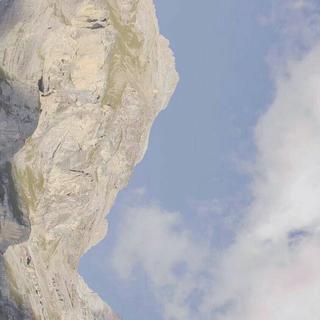 妳的温柔出现在了我的生命