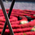 Eternal Maze