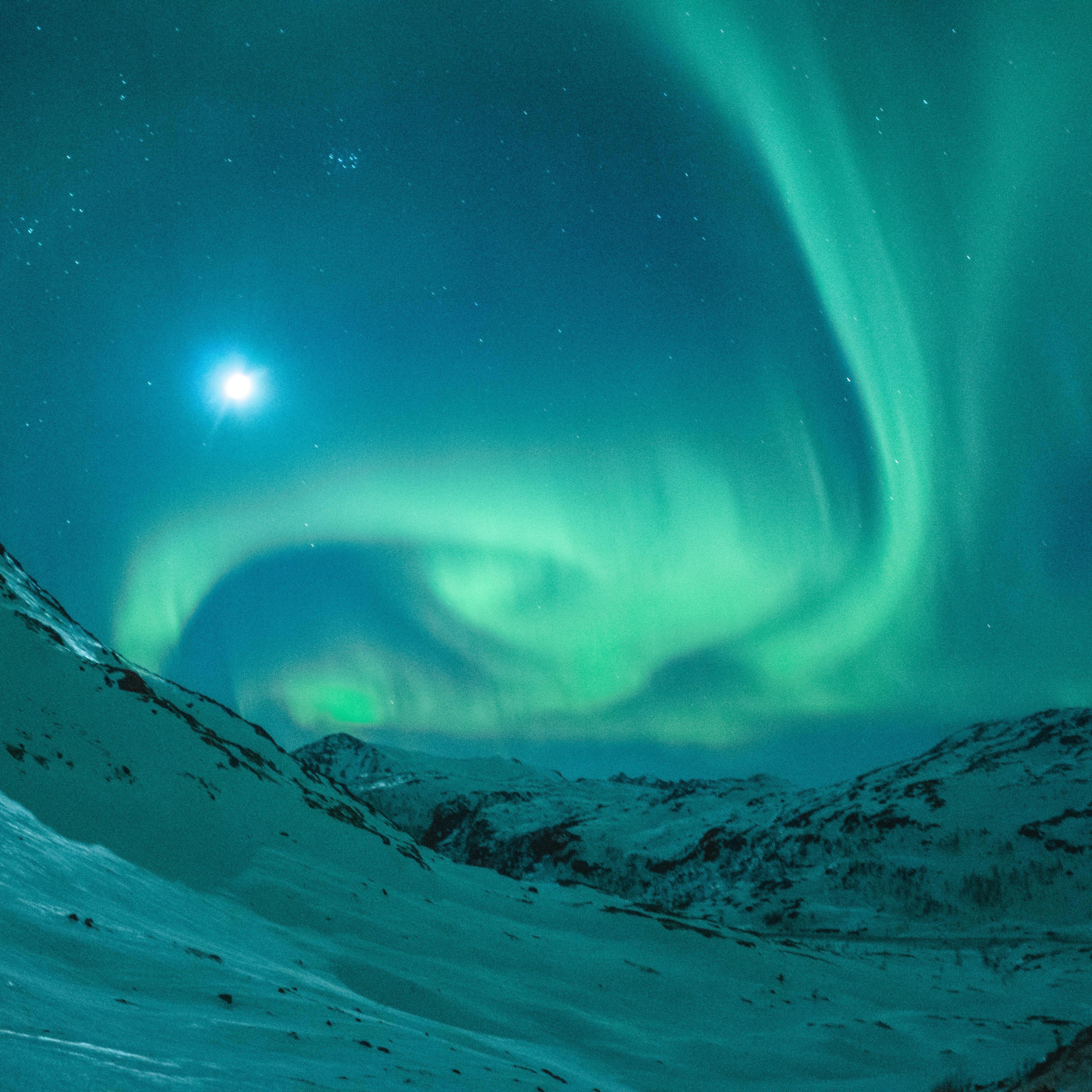 Aurora