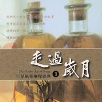 黄舒骏 - 未央歌(原版立体声伴奏)版本2