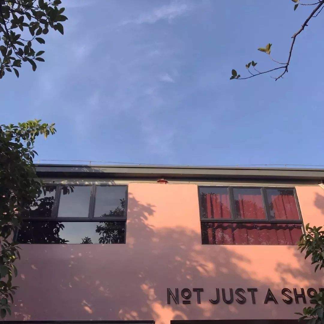 对月（cover 单依纯）