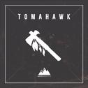 Tomahawk专辑