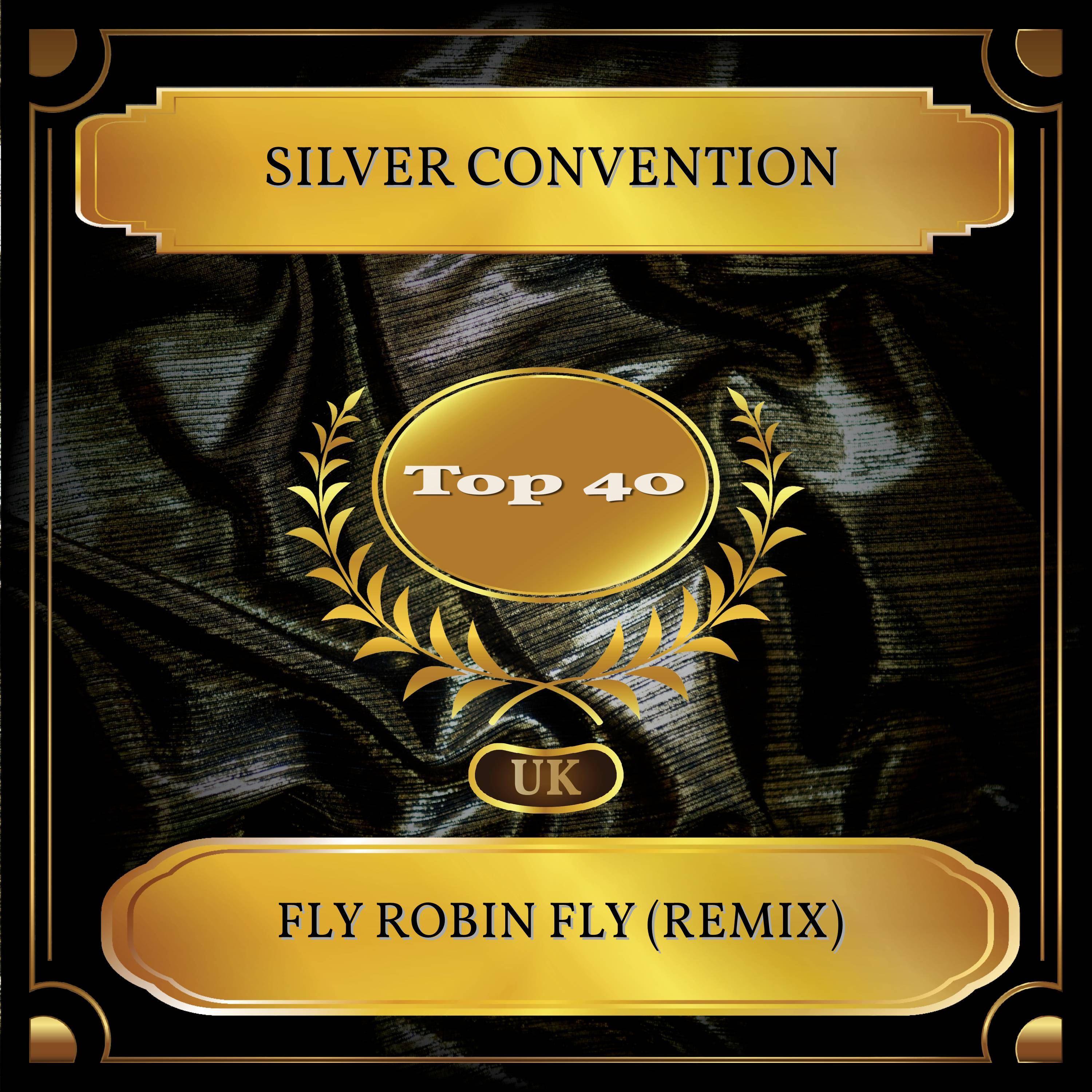 Fly Robin Fly (Remix) (UK Chart Top 40 - No. 28)