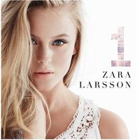 Zara Larsson - Bad Boys (Instrumental)