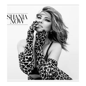 Shania Twain - You Can't Buy Love (Pre-V) 带和声伴奏