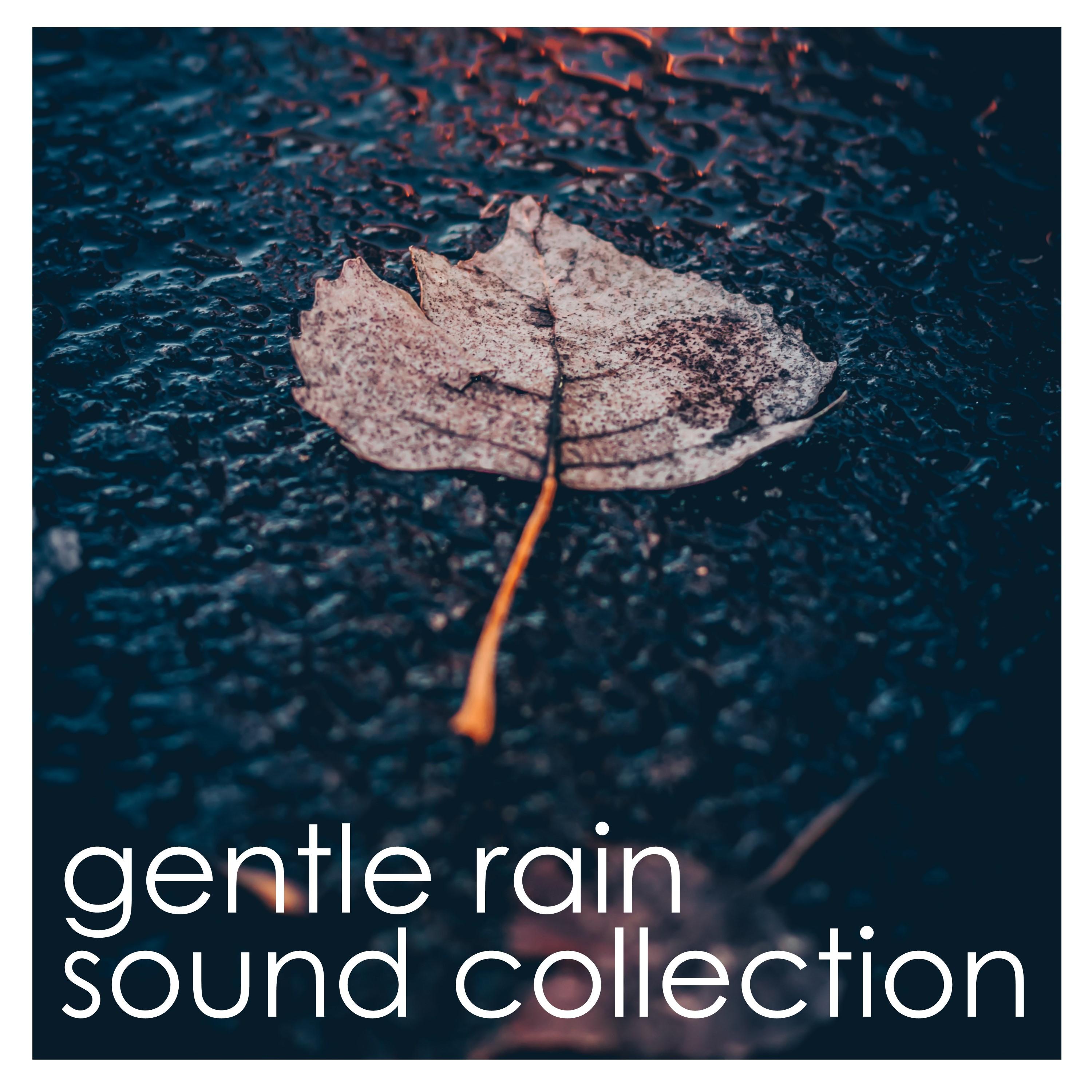 #10 Natural Rain Sounds - Calm your Mind and Soothe your Soul专辑