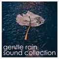 #10 Natural Rain Sounds - Calm your Mind and Soothe your Soul