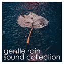 #10 Natural Rain Sounds - Calm your Mind and Soothe your Soul专辑