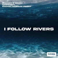 D Amico & Valax, Casiraghi & Rachel Morgan Perry - I Follow Rivers (Extended) (Instrumental) 原版无和声伴奏