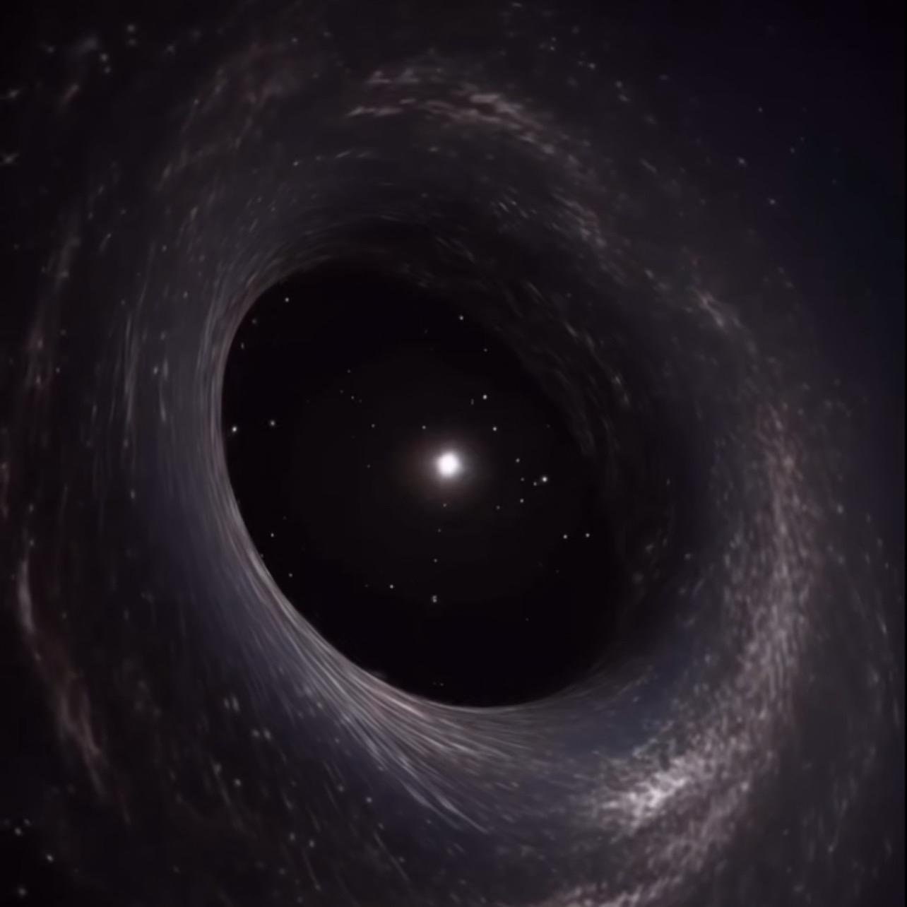 山茶花与香樟树