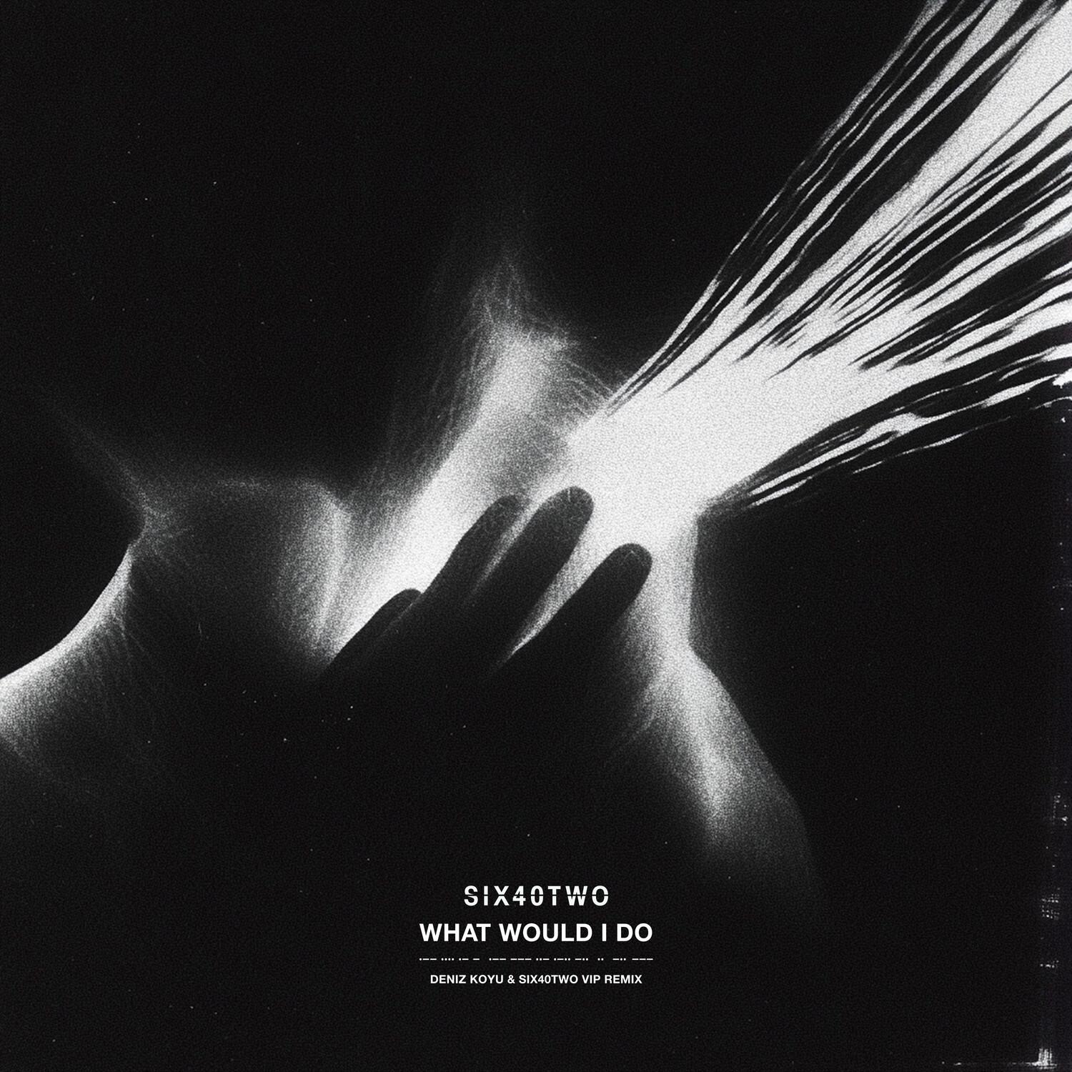 What Would I Do (Deniz Koyu & SIX40TWO VIP remix)