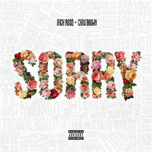 Rick Ross Chris Brown - Sorry