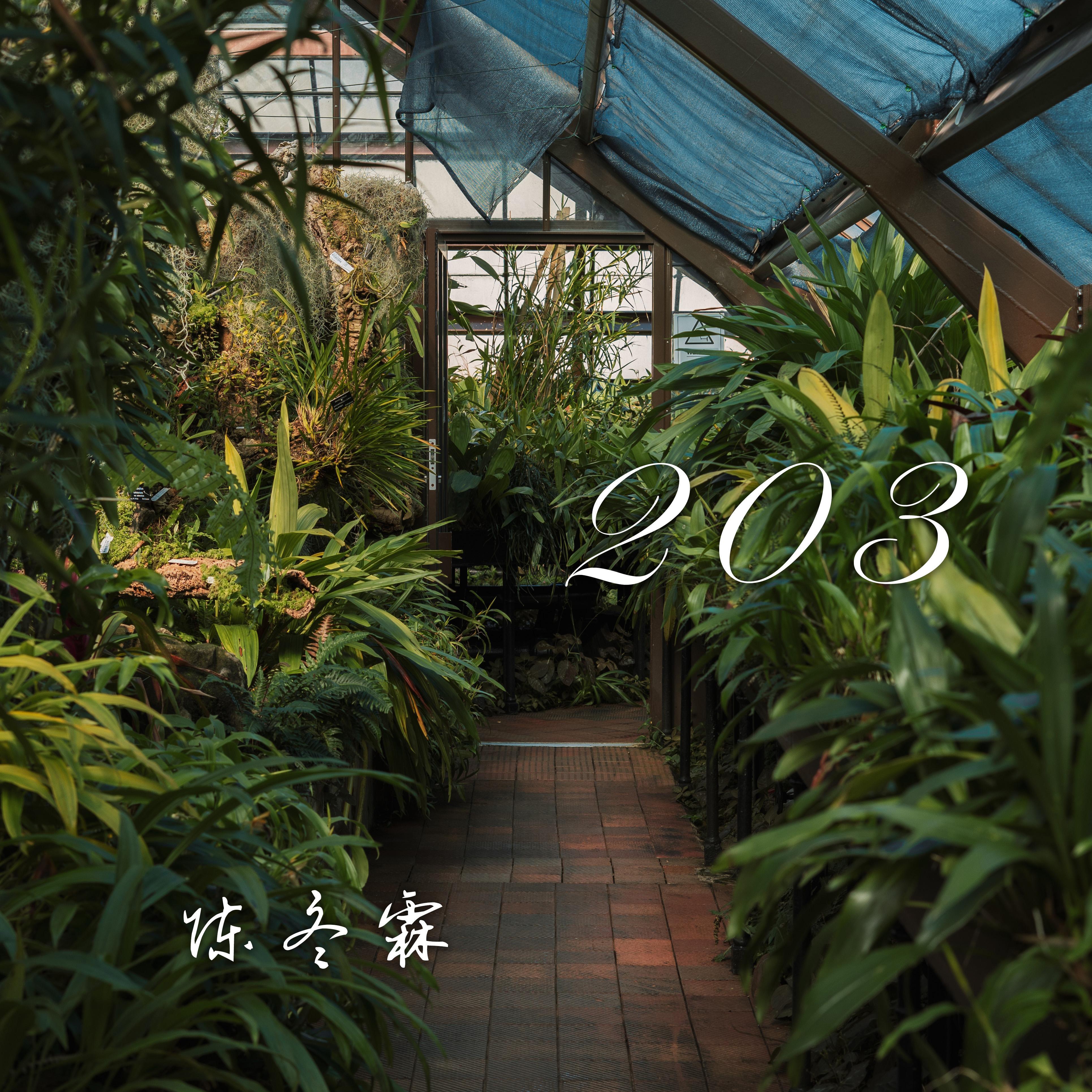二零三