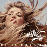 Wings - Delta Goodrem (unofficial Instrumental)