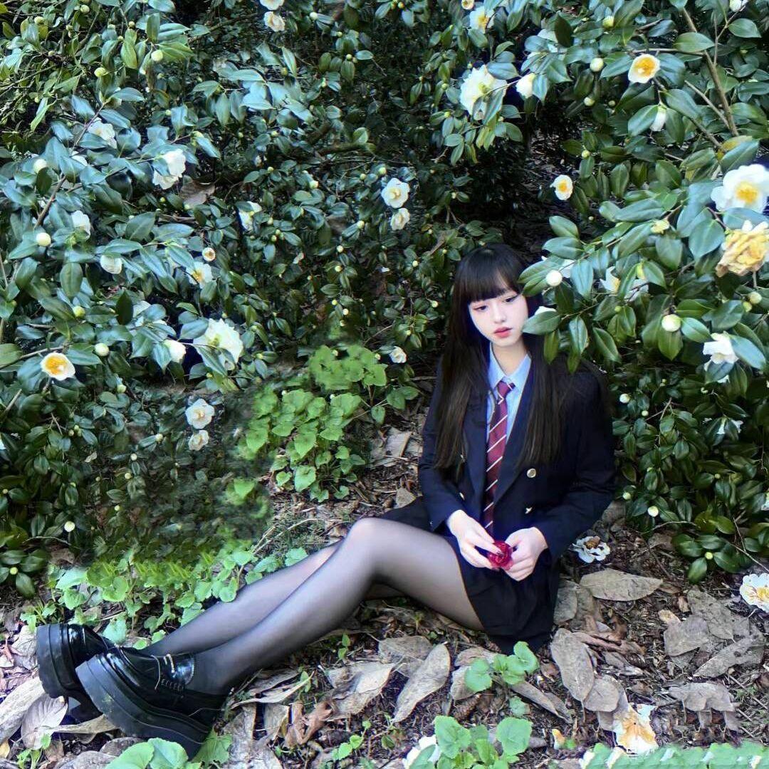 白山茶