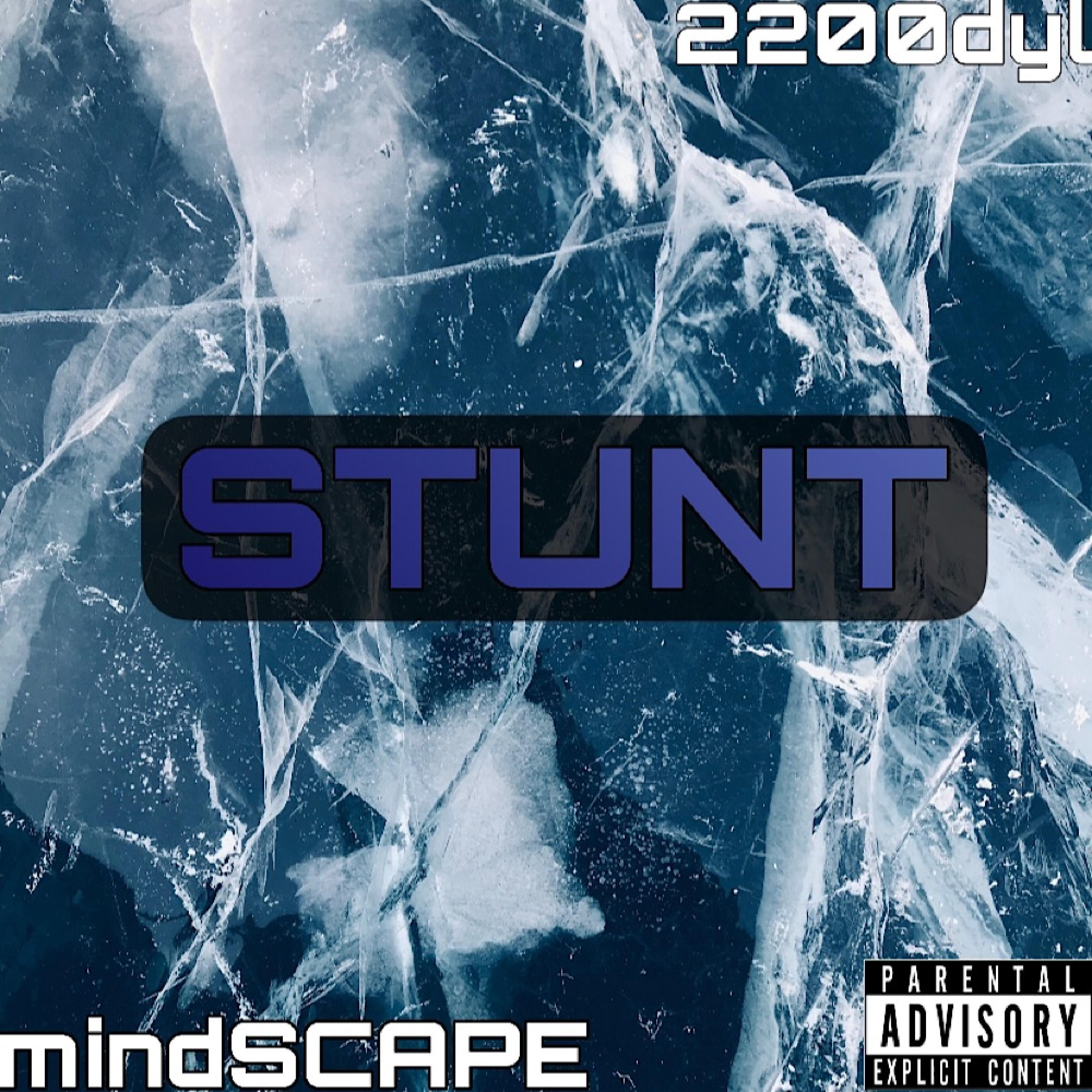 STUNT (feat. 2200dyl)