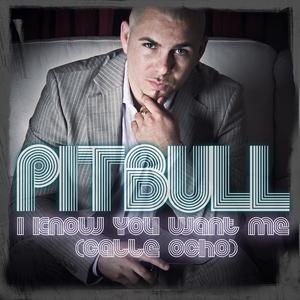 Pitbull-Calle Ocho I Know You Want Me 2014-l柳州DJ峰少REMI （升2半音）