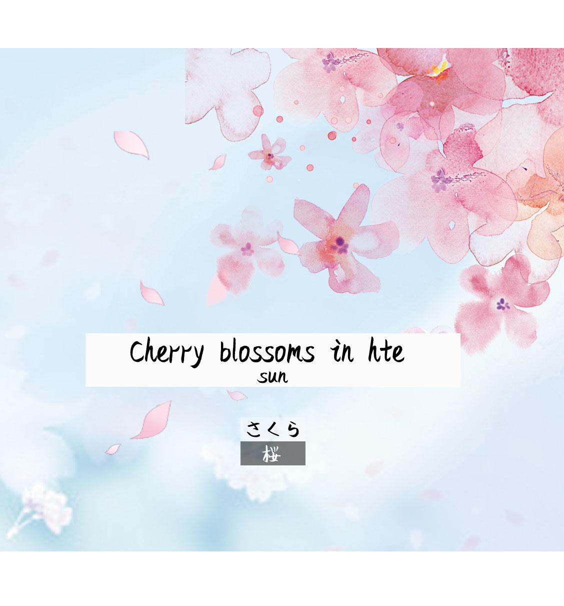 Cherry blossoms in hte sun专辑