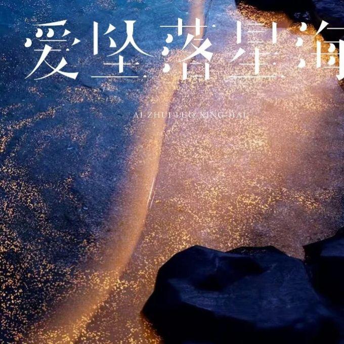 爱坠落星海