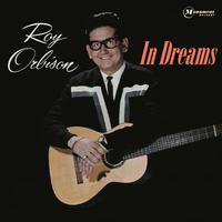 In Dreams - Roy Orbison (unofficial Instrumental)