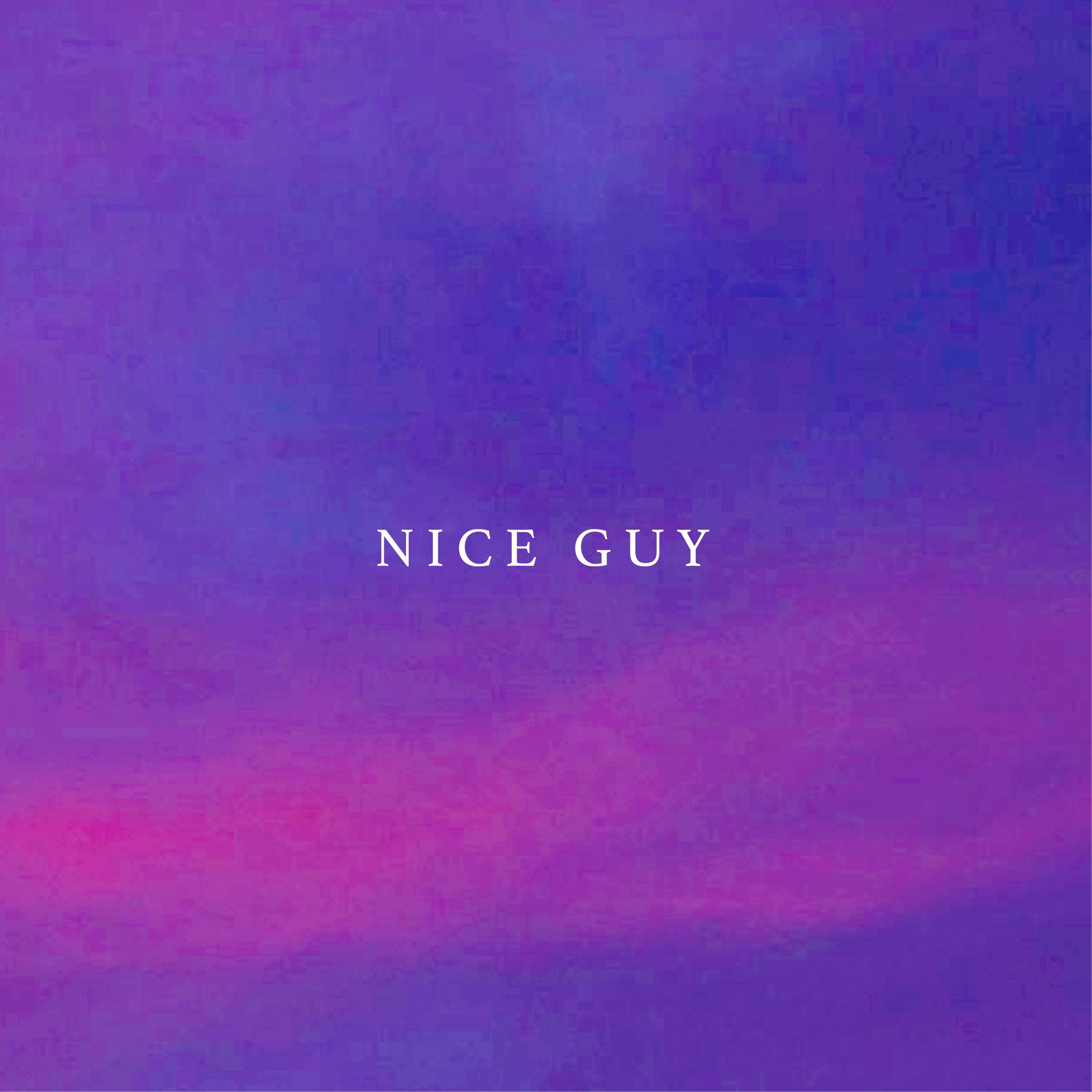 Nice Guy