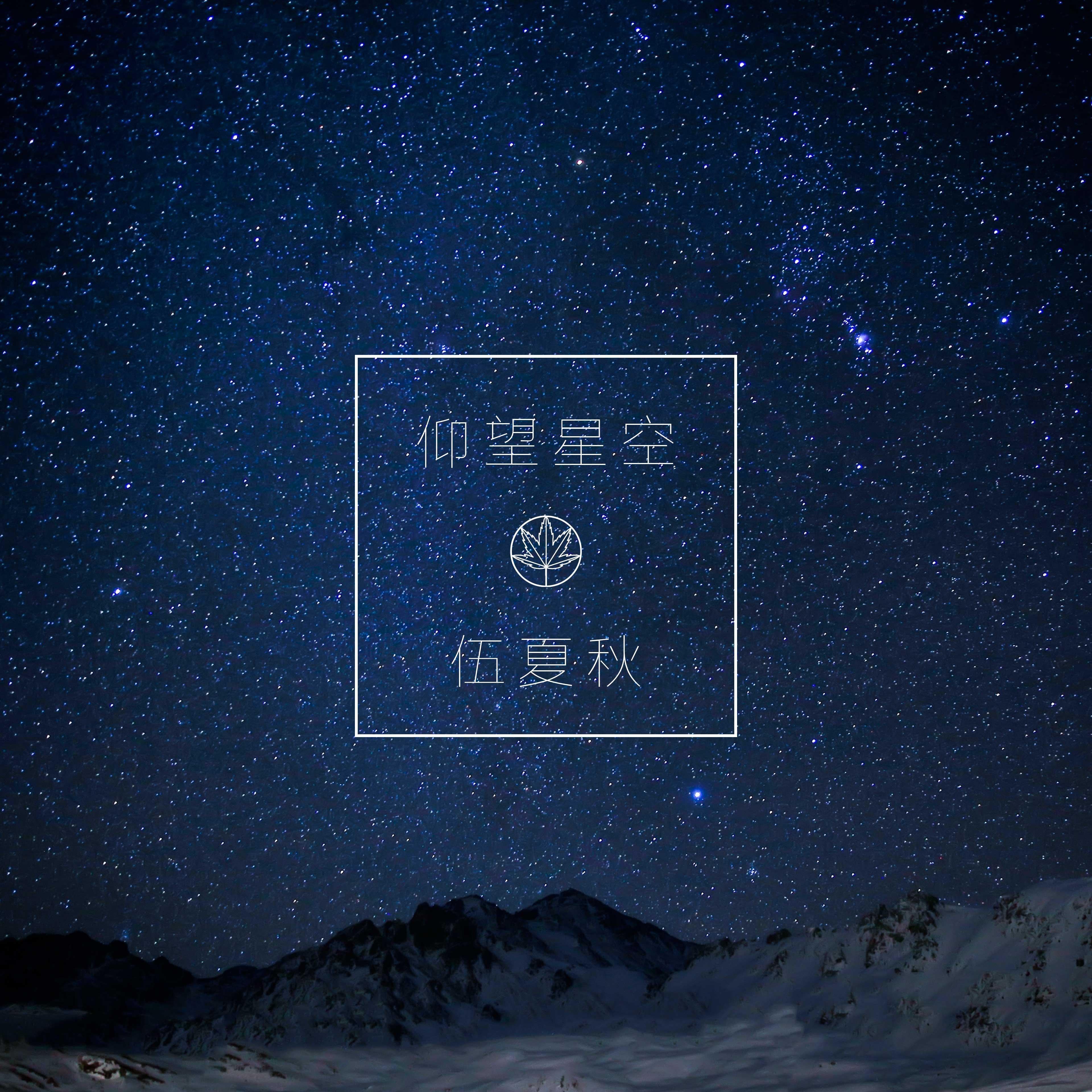 仰望星空专辑