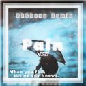 Pain（DkCheng Remix）专辑