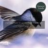 Cozy Nature Soothing Music Library - Glorious Small Bird