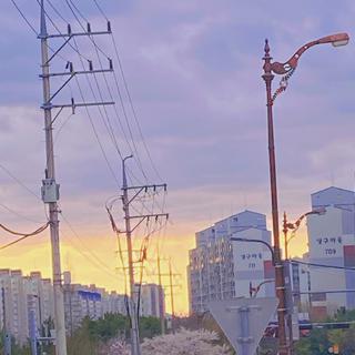 懒懒的他泰音乐盒