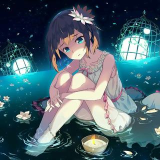 『催泪纯音』悲戚和美丽中凋零的花朵