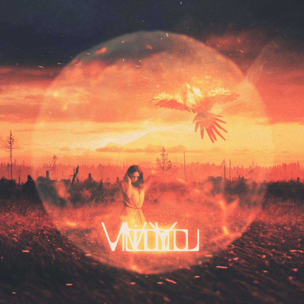 Without You (V Remix)专辑