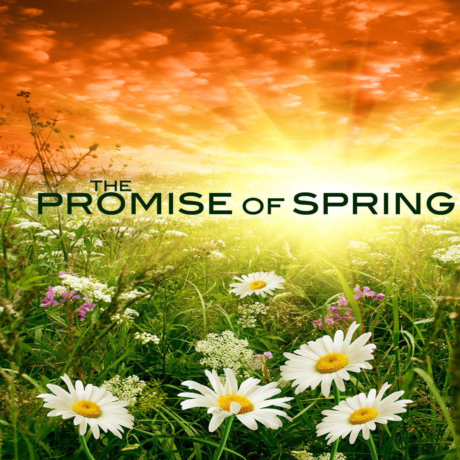 The Promise of Spring