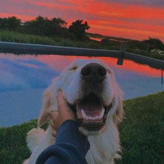 「电音」3°C的碳酸音乐