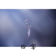 拾雾（十五）