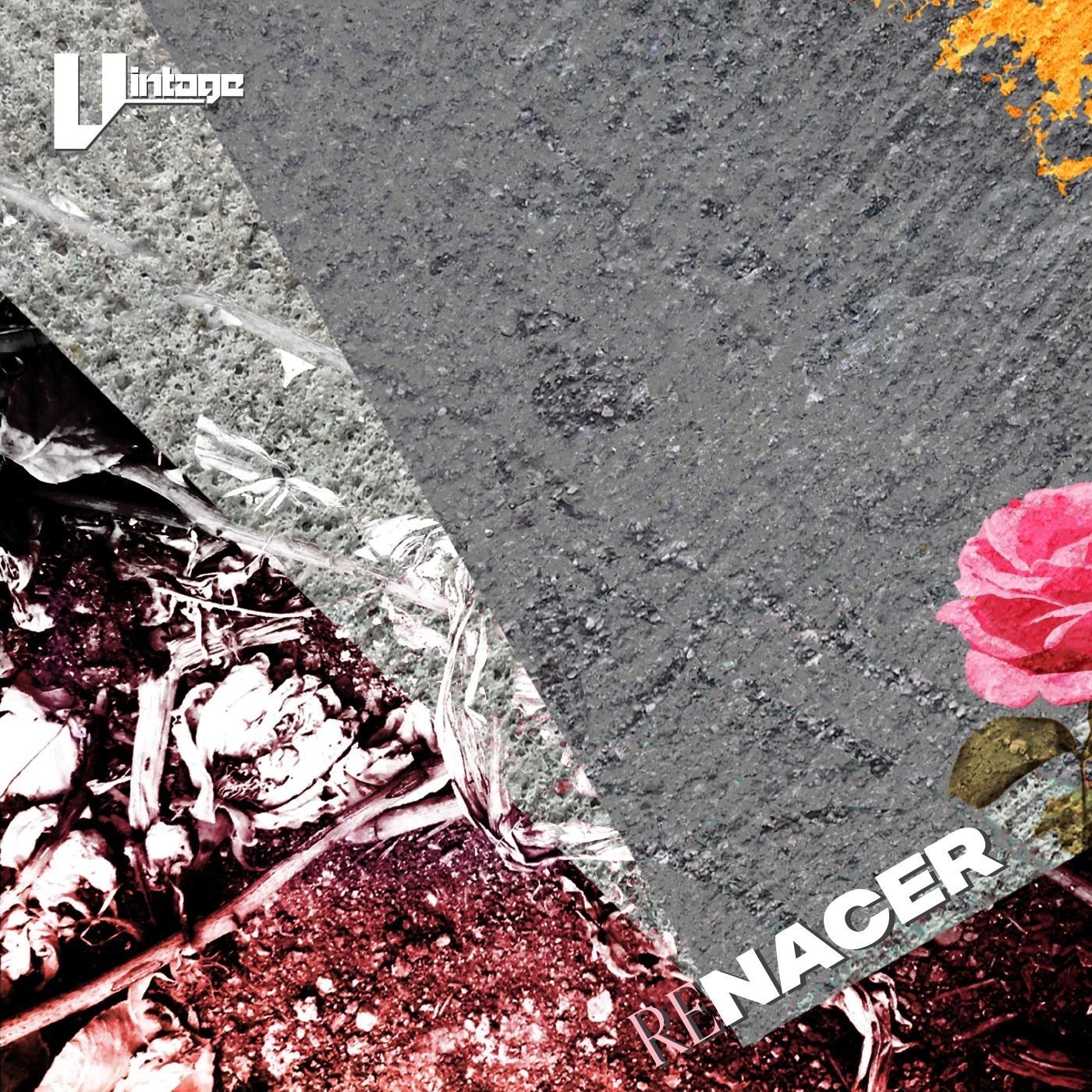 Renacer