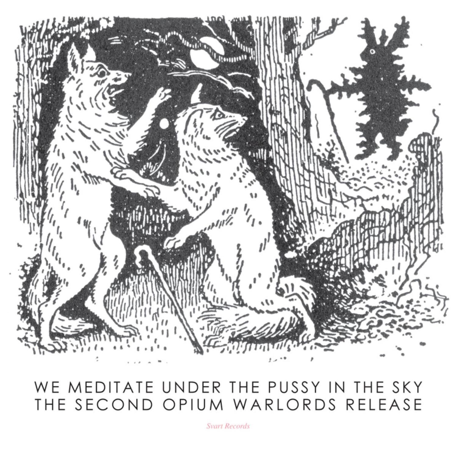 We Meditate Under the Pussy in the Sky