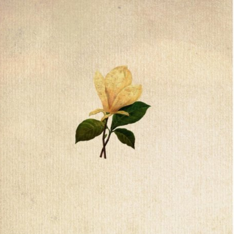 The Grand Magnolias