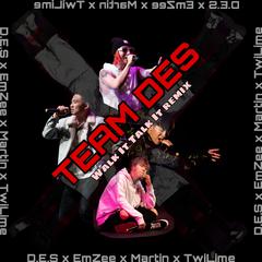 Migos-TEAM DES ('Walk It Talk It' remix)（D.E.S (DES) / EmZee / 马汀MaRt11N / TwiLime remix）