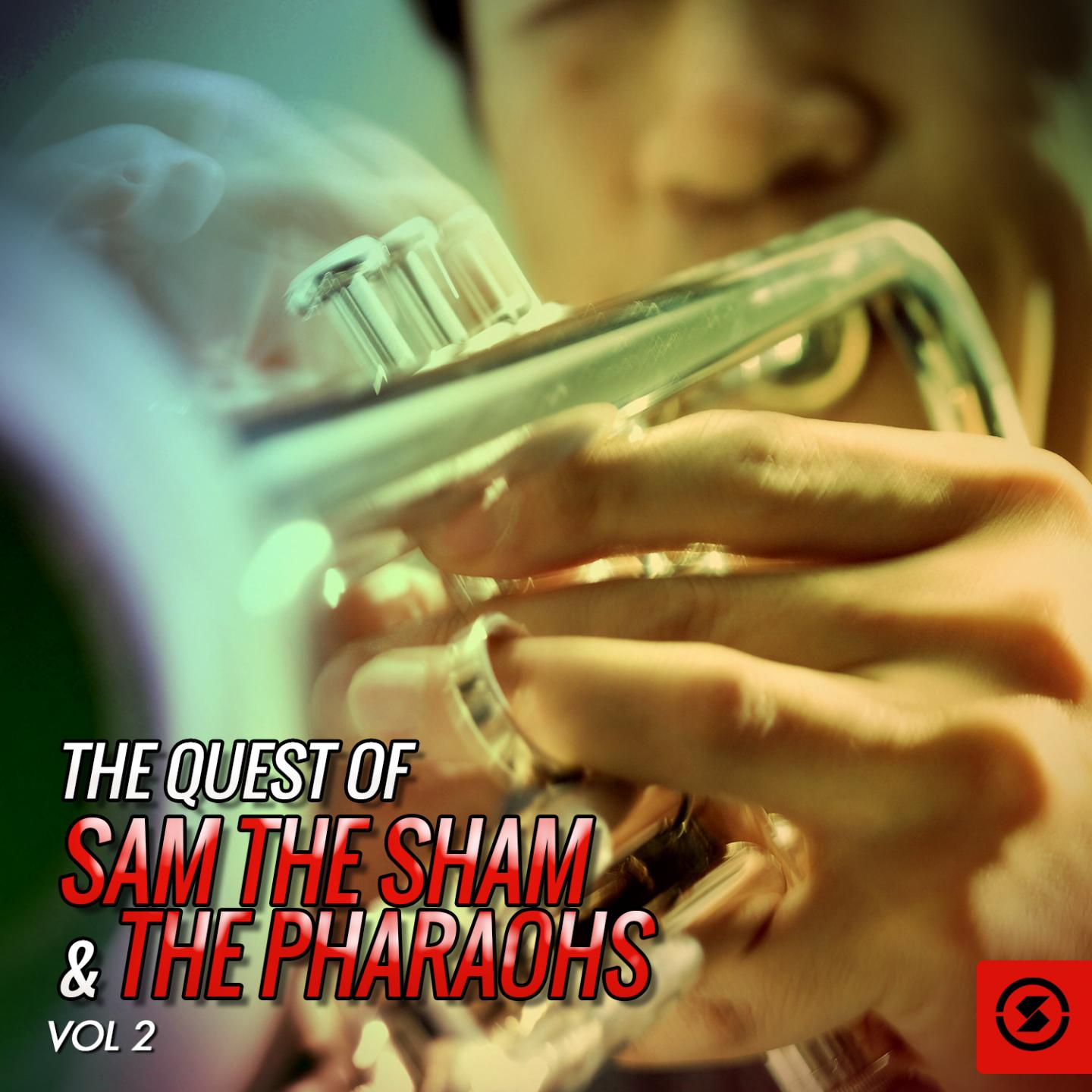 Sam the Sham & the Pharaohs - Love Me Like Before