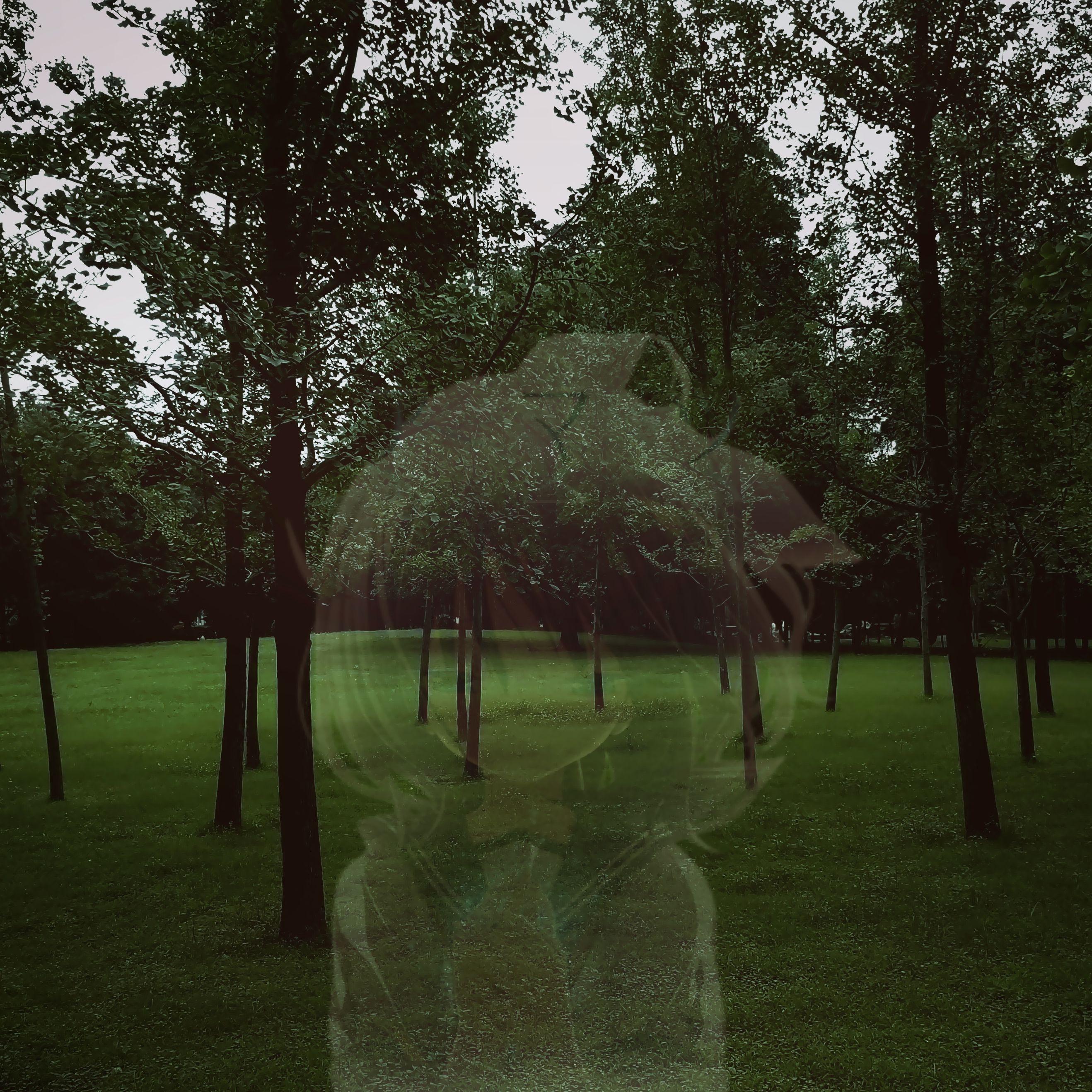 アマツツミ（天津罪）