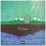 Daisies