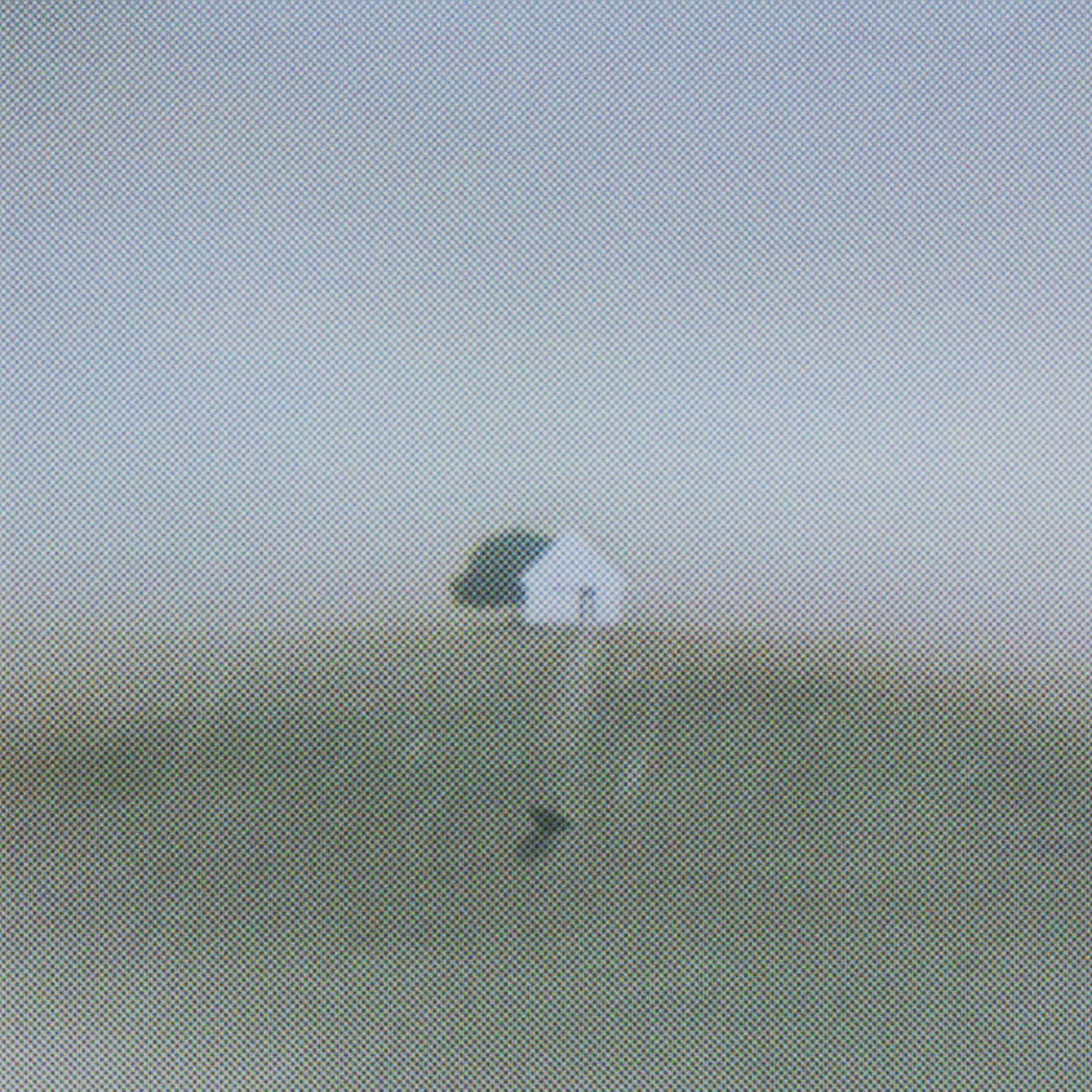 Pluviophile