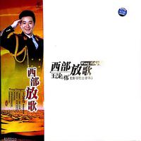 口碑 - 王宏伟(CD,128kbps)