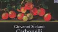 Vivaldi & Carbonelli: Works for Violin专辑