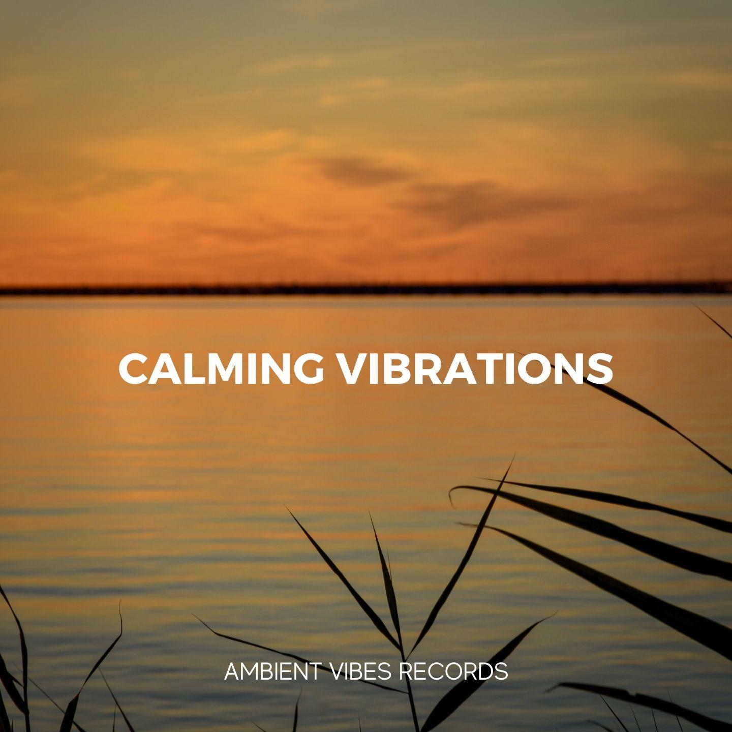 Calming Vibrations专辑