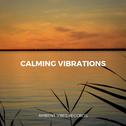 Calming Vibrations专辑