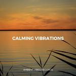 Calming Vibrations专辑