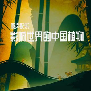 《影响世界的中国植物》纪录片配乐原声带