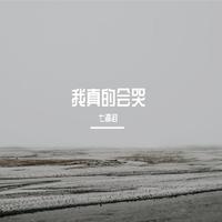 王一佳-我真的会哭