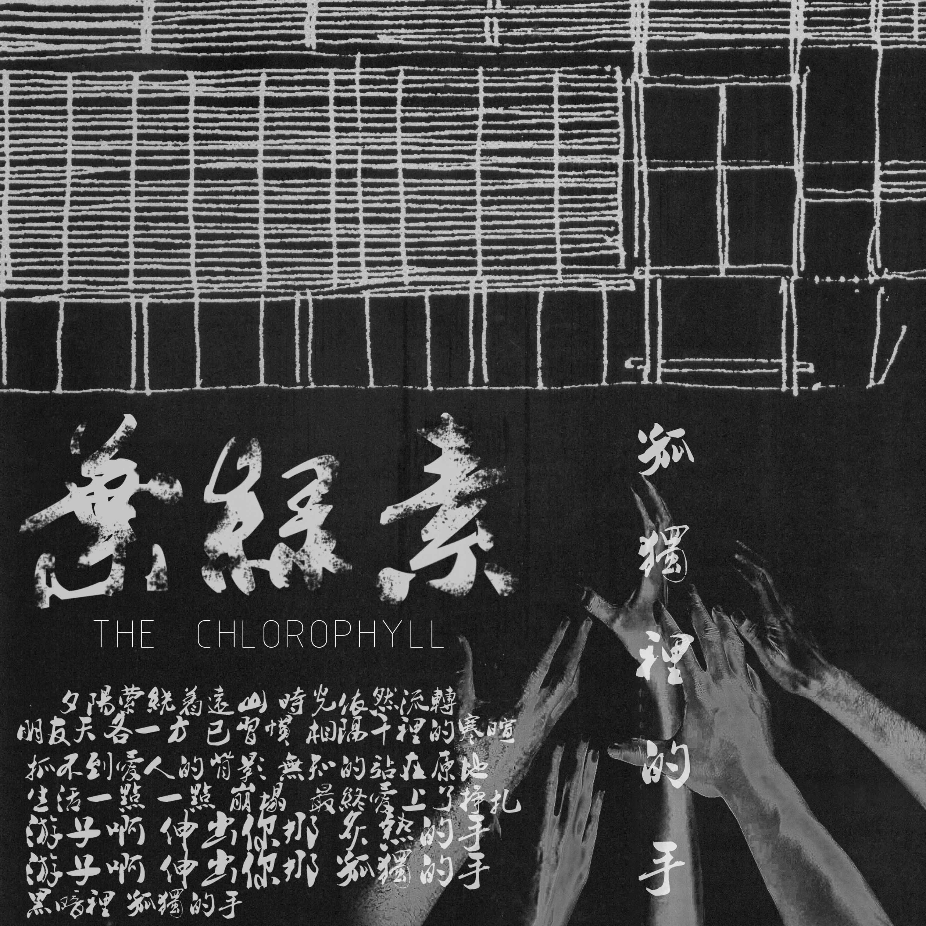 叶绿素